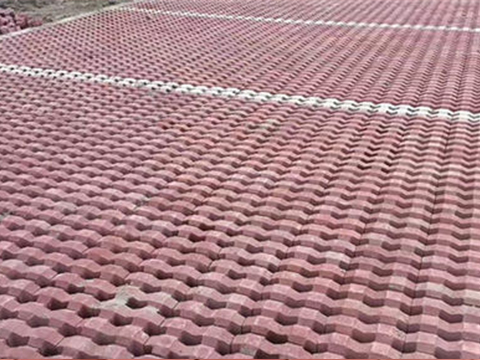 成功案例